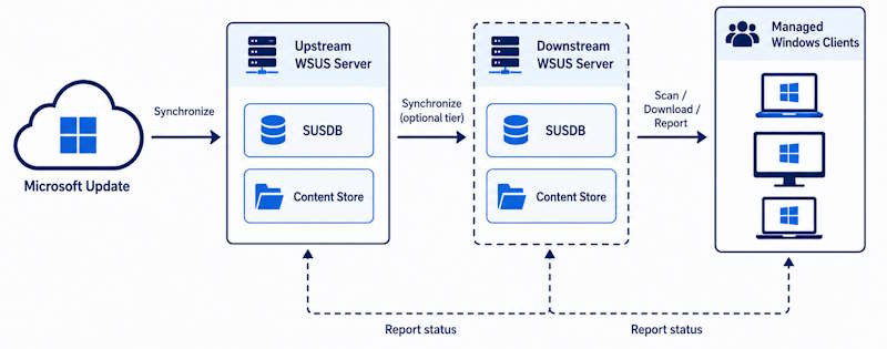 WSUS architecture diagram showing Microsoft Update, upstream WSUS, SUSDB, content store, downstream WSUS servers, and managed Windows clients